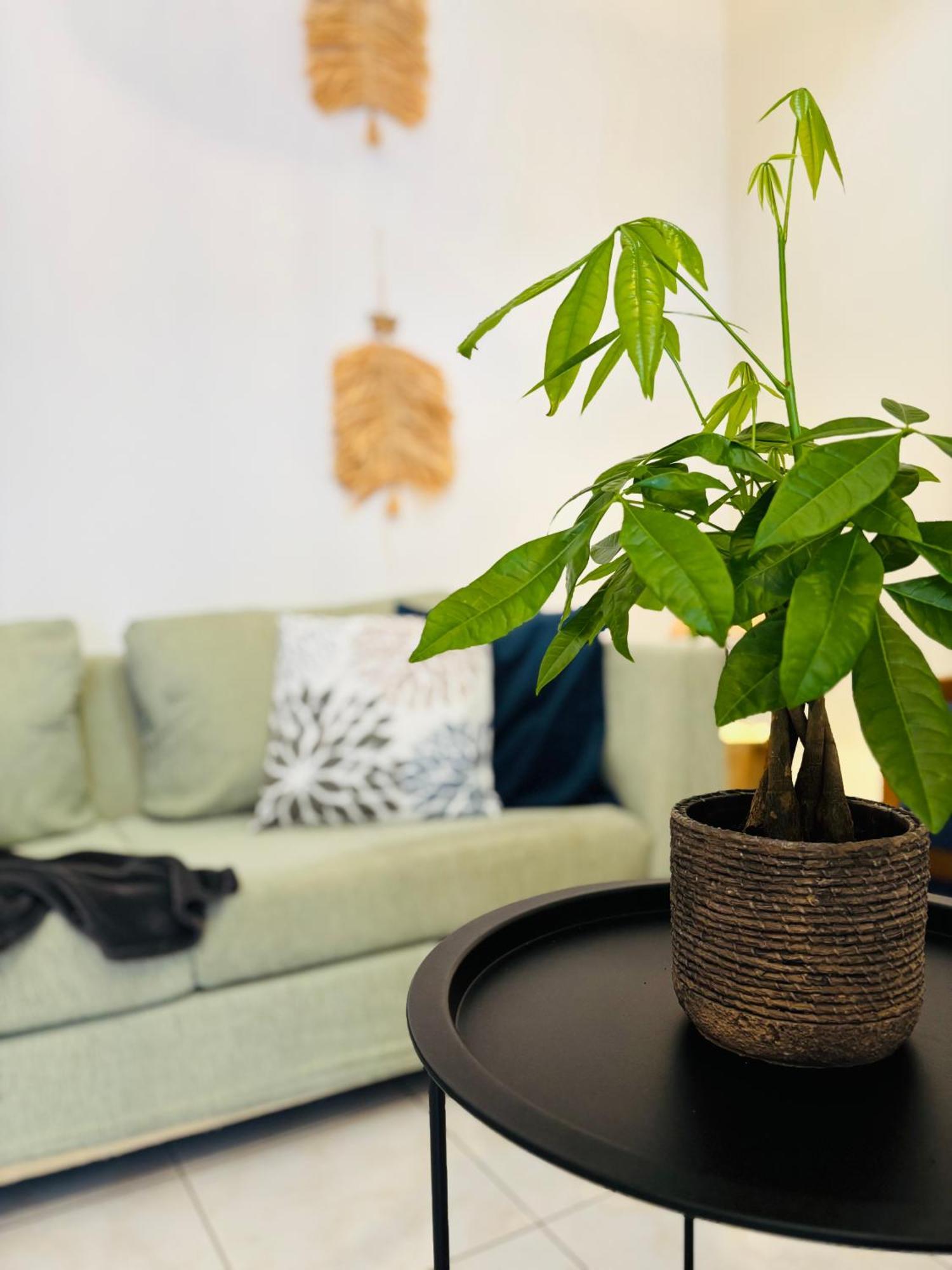 Sofitaki Apartmán Argostoli (Kefalonia)